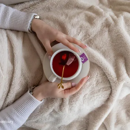 Appartement Rosemary